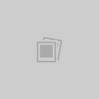 Slides